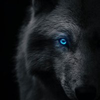 Sayeed Khan (@sayeedkhan089) 's Twitter Profile