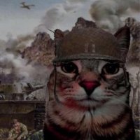 Jonzki (@jonzki_bs) 's Twitter Profile Photo Jonzki (@jonzki_bs) 's Twitter Profile Photo