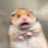 ma63_mado63's profile image