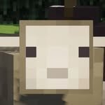Kaledo Profile