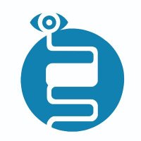 SEED (@seedendoscopia) 's Twitter Profile