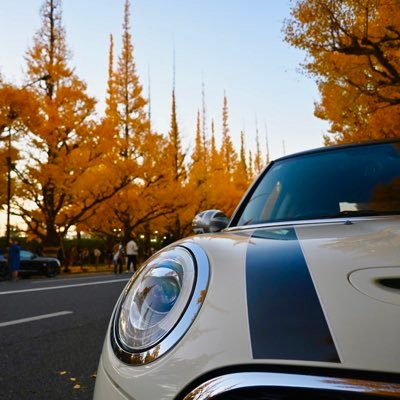 ポルノグラフィティとQuizKnockが好きな人の雑多な趣味垢。主にひとりごと。無言でそっとフォローとかいいねします。車は詳しくないけど一目惚れしてMINI乗りになりました( * ॑꒳ ॑*) Mini Cooper S(F56)