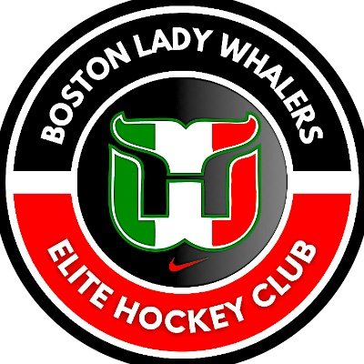 New England’s #1 Spring/Summer Elite Hockey Club 2026 Prospective Player Form is live in our LinkTree 👇