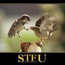 Fiona McGrath-Volau - @mcgrathf - Twitter