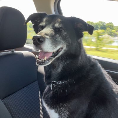 Iblaze_falcon's profile picture. 