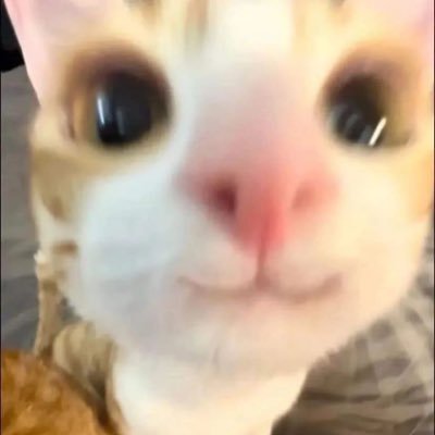 Dew_chak's profile picture. 