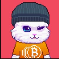 lris Chris Bold (@irisblockchain) 's Twitter Profile
