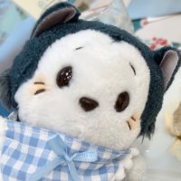 遠井 (@noise_96) 's Twitter Profile