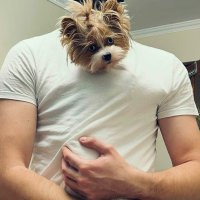 Steven Cox (@stevencox1991) 's Twitter Profile