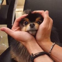 MiMi⁷ (@pjmnyg) 's Twitter Profile