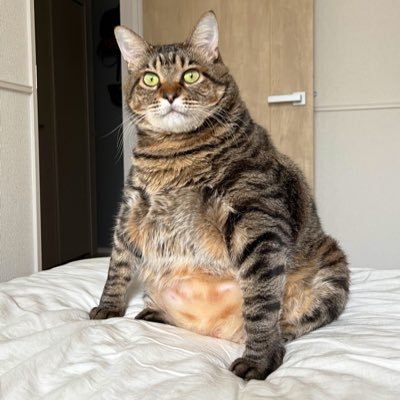 mike_oxy's profile picture. 