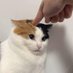v (@suselszarka) Twitter profile photo v (@suselszarka) Twitter profile photo