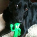 Annabel Williams - @Annabely25 - Twitter