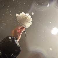 Pᴇʀʀʏ☁️ (@abdlffaa) 's Twitter Profile