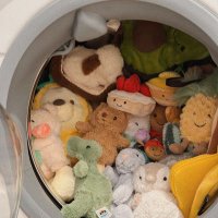 プリッツ (@sgrd__xdo) 's Twitter Profile Photo プリッツ (@sgrd__xdo) 's Twitter Profile Photo