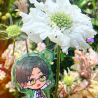 ãã㯠(@ir0ha_16879) 's Twitter Profile Photo ãã㯠(@ir0ha_16879) 's Twitter Profile Photo