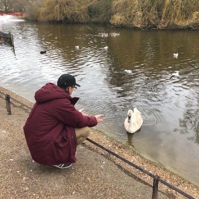 pedromartosm's profile picture. human ☩