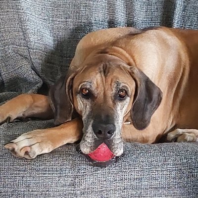SorayaSadala's profile picture. 