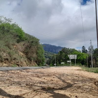 PeluKizito's profile picture. 