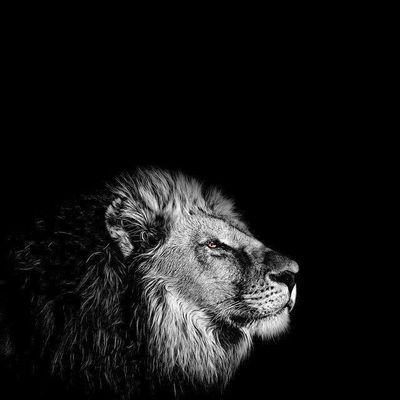 ስለእኔ የምነግርህ ነገር ቢኖር እኔ መኾኔን ብቻ ነው። ደሞም እኔ ማለት የሆንኩትንና የምሆነውን ነኝ