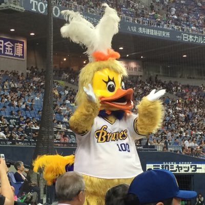 7Cekkf2w75344gm's profile picture. オリックスバファローズを こよなく愛するオリ垢 推しは引退した#3 #海を渡った#18 新#18 #24 #30 #38 新#65 #99 その他全選手の箱推し。 出没場所はS•A指定席 ダイナミック指定席 2023年大商大シートデビュー 2024現地観戦14勝12敗