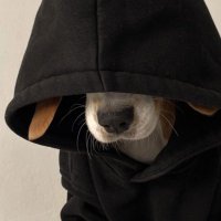 あかさたな (@kyousuke4829) 's Twitter Profile