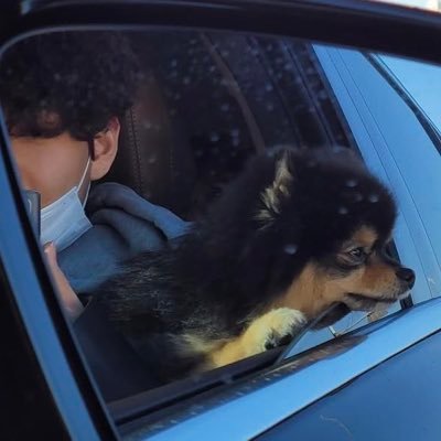 tojeonjk's profile picture. #BTS: We shine in different ways