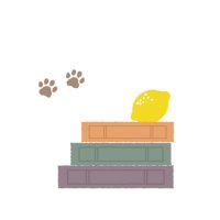 伊豆読書会/修善寺温泉読書会 (@izudokushokai) 's Twitter Profile Photo 伊豆読書会/修善寺温泉読書会 (@izudokushokai) 's Twitter Profile Photo
