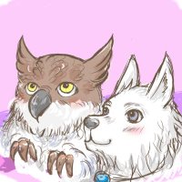 はなも (@hanamoshadow) 's Twitter Profile Photo