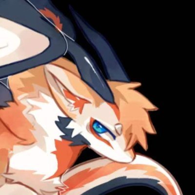 Leochzuo's profile picture. Furry🐉·🐕·🐏|he/him|oc Enthusiast| may rt 🔞|常驻广州Canton