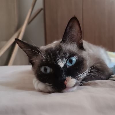 animal_aquatico's profile picture. feliz na natureza 🏴