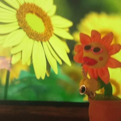 HallenZanette's profile picture. 