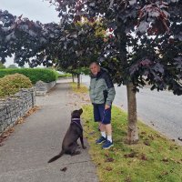Donal Jackson. (@jackson_donal) 's Twitter Profile Photo Donal Jackson. (@jackson_donal) 's Twitter Profile Photo