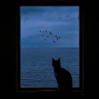 Jupiter.eth (@jubitisjupiter) 's Twitter Profile Photo Jupiter.eth (@jubitisjupiter) 's Twitter Profile Photo