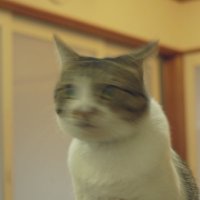 ヤツタ (@sptimet) 's Twitter Profile