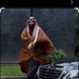التنومي (@ltnwmy22) Twitter profile photo التنومي (@ltnwmy22) Twitter profile photo