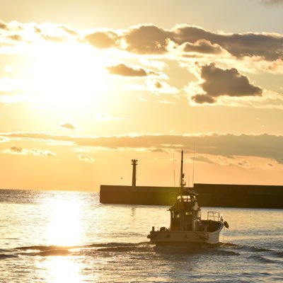 沼津市や静岡県の魅力をお届けします✨️
お仕事の連絡はDMまでお願いします。
【SNS】
・TikTokとShorts 月~金 投稿
・XとInstagram 月~金 投稿
・イベント時は土日も投稿します!!
応援よろしくお願いします🙌✨