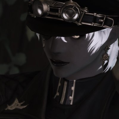 고미さんのプロフィール画像