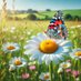 Daisy 🦋🌺 (@daisybloom101) Twitter profile photo Daisy 🦋🌺 (@daisybloom101) Twitter profile photo