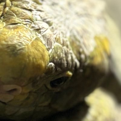 hass_aaa2's profile picture. 早稲田