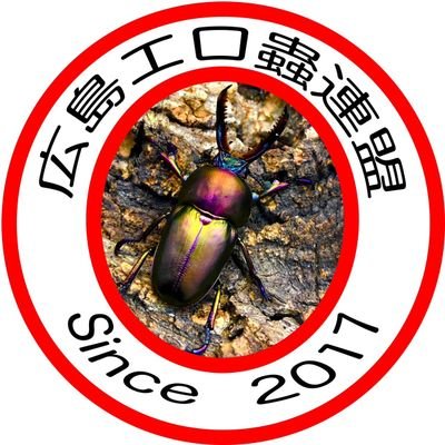 白三 (@N1zmAeQ2Q0MUp5A) / Posts / X