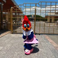 こひやん (@kohimangetsupon) 's Twitter Profile