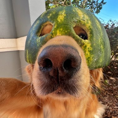 prasfps's profile picture. 15