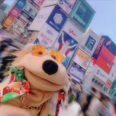 ハルおつぽんさんのプロフィール画像