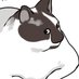 ✦ Nanoless (@nanoless_) Twitter profile photo ✦ Nanoless (@nanoless_) Twitter profile photo