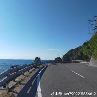 ことら (@h81w4) 's Twitter Profile