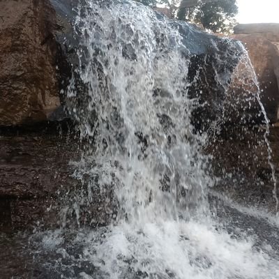 MJST458837's profile picture. 