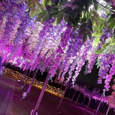 SSima217's profile picture. 雑多なアカウント 基本壁打ちです たまにお取引しますが、基本がボヤキばかりなので継続フォローは非推奨