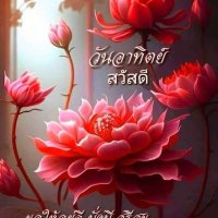 ละโว้ 🤡 (@cb2acf840ba64f2) 's Twitter Profile