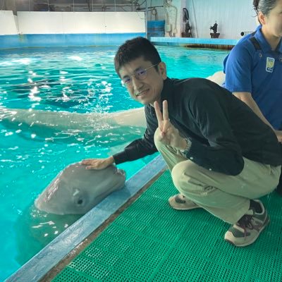 アクアワールド大洗と鴨川シーワールドの年パス持ち。エトピリカ、シャチ、オキゴンドウが特に好き。音楽ライブや落語も好き。